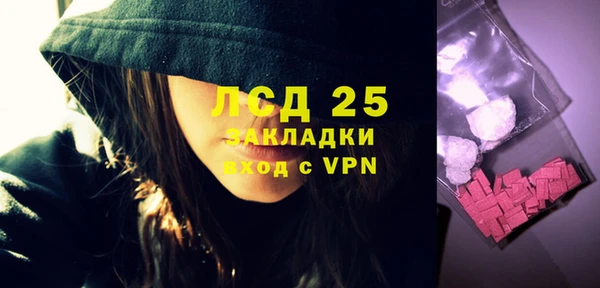 сатива Армянск