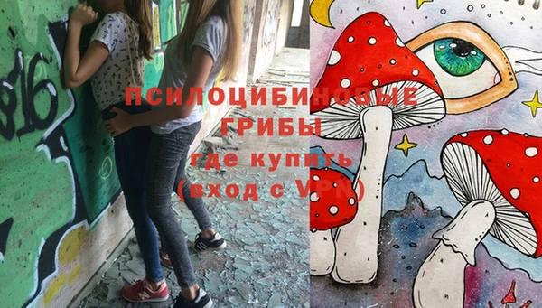 сатива Армянск