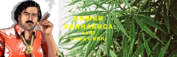 сатива Армянск