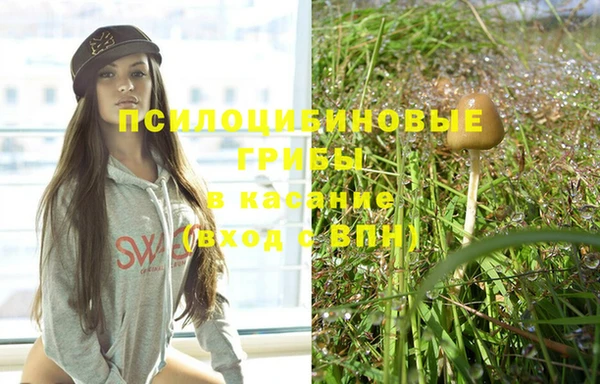 MESCALINE Арсеньев