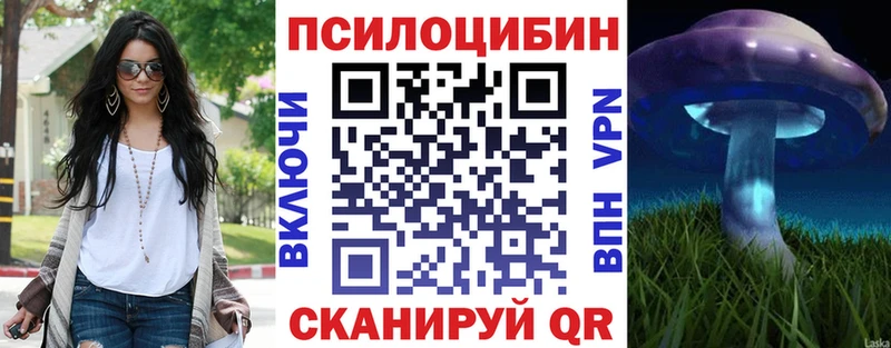 KRAKEN ONION  Таруса  Галлюциногенные грибы мицелий 